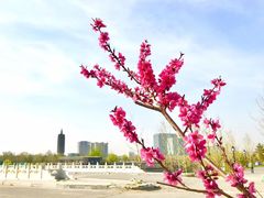 -西海子公园