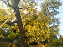 -无锡惠山寺