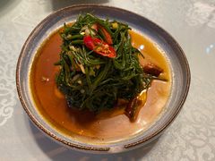 凉拌沙葱-十二毡房蒙餐·蒙古包
