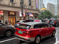 -沈大成(南京东路店)