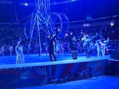 -俄罗斯国家大马戏团