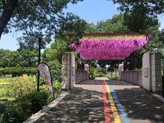 -苏州太湖西山岛开心农场