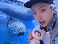 -多彩贵州城极地海洋世界