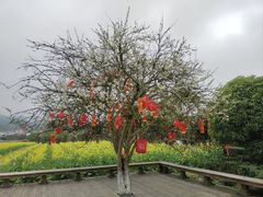 -古田会议纪念馆