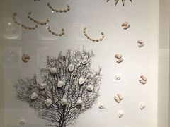 -青岛贝壳博物馆