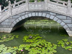-卓刀泉寺
