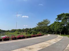 -福田红树林生态公园