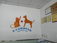 -美美宠物诊疗中心·异宠·骨科(滨江东信分院)