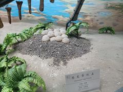 -延庆地质公园博物馆