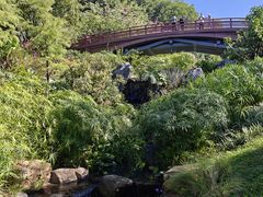 -云溪植物园