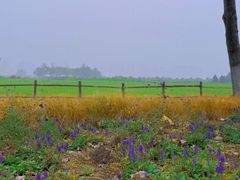 -汉长安城未央宫国家考古遗址公园