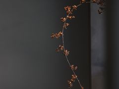 -溯洄咖啡VORTEX COFFEE