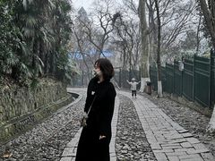 -紫金山天文台
