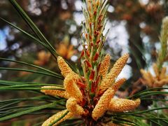 -汉景帝阳陵博物院