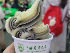 -中国农业大学(西校区)
