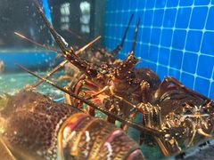 -码头鲜精致威海菜(欧乐坊店)