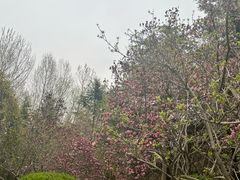 -郑州植物园
