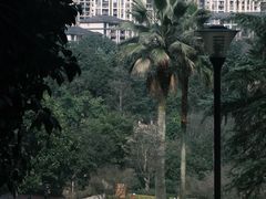 -龙头寺公园