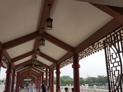-长洲岛