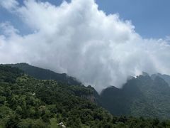 -王莽岭风景区