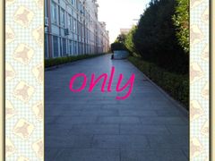 -上海棕榈滩海景酒店