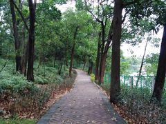 -聚龙山公园