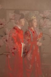 点击看大图 -桔子摄影