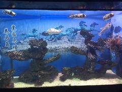 -烟台海昌鲸鲨海洋公园