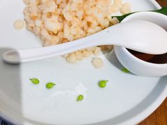 特色小虾仁-苏小柳手作点心(控江旭辉分院)