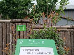 -成都大熊猫繁育研究基地