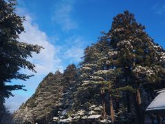 -北海道神宫