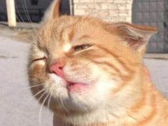 -万福·和牛炭火烧肉店(苏州中心店)