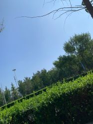 -HEYAN荷妍专业脱毛连锁机构