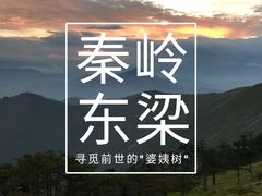 -秦岭风景区
