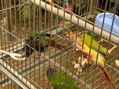 -南宫五洲植物乐园