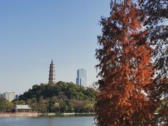 -顺峰山公园