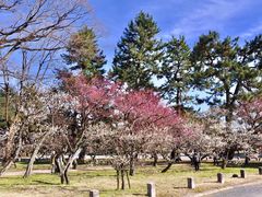 -京都御所