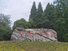 -东平国家森林公园