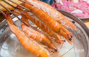 Freshly Caught Shrimp