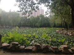 -宝鸡植物园