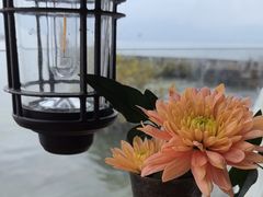 -六阅·福十 FORTEN 海景咖啡西餐厅(双廊古镇店)