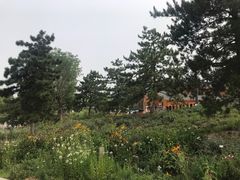 -东郊湿地公园