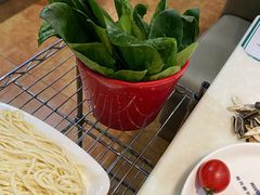 菠菜-阳坊胜利涮羊肉(禧乐汇店)