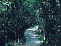 -燕晗山郊野公园