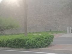 -半天妖烤鱼(西直门凯德mall店)