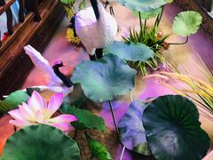 -韵秋荷(宝山龙湖天街店)