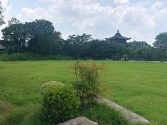 -鲁镇