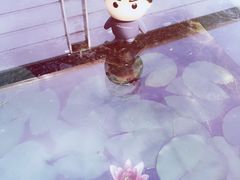 -昆山城市生态森林公园