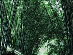 -成都杜甫草堂博物馆
