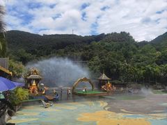 -西双版纳原始森林公园